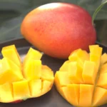 miyazaki mango